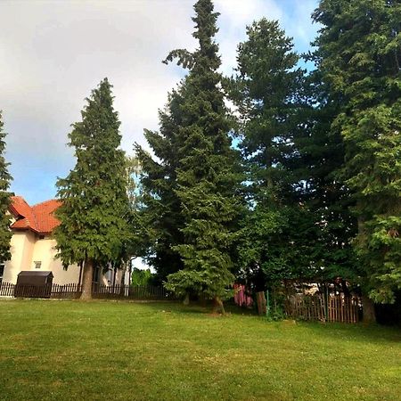 Kuca Za Odmor Zlatibor Βίλα Εξωτερικό φωτογραφία
