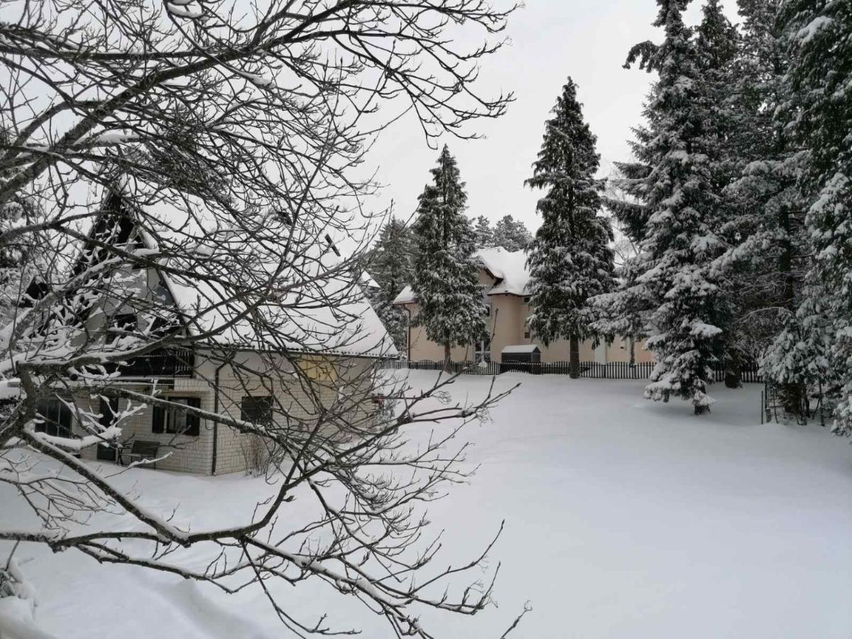 Kuca Za Odmor Zlatibor Βίλα Εξωτερικό φωτογραφία