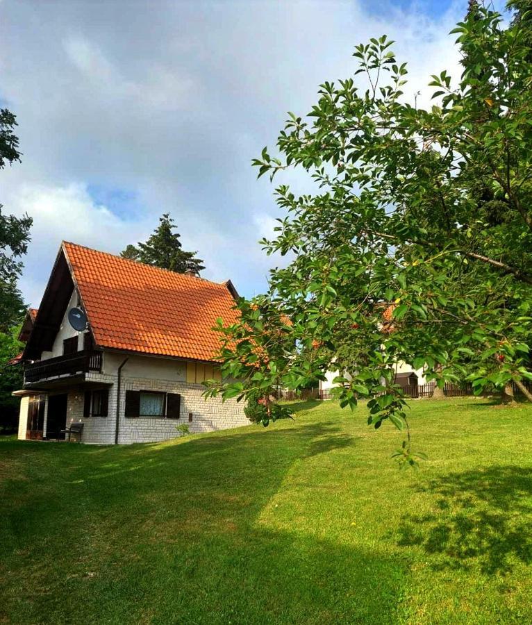 Kuca Za Odmor Zlatibor Βίλα Εξωτερικό φωτογραφία